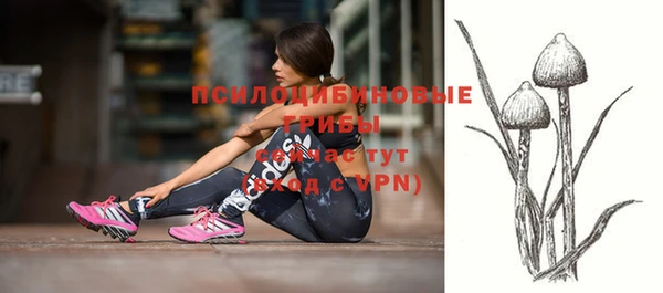 дживик Алзамай
