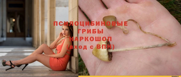 дживик Алзамай